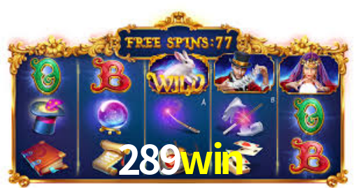 289win App Interface